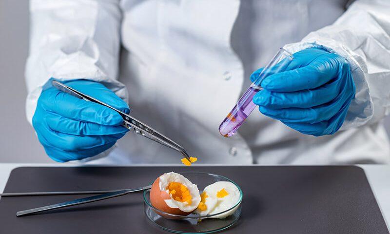 Otros análisis de alimentos